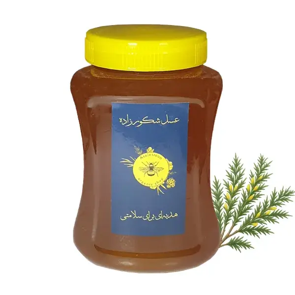 عسل طبیعی گون گز