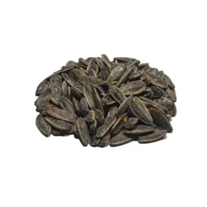 تخمه آفتاب گردان دور سفید