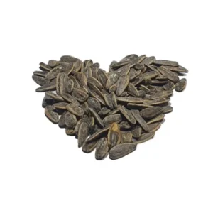 تخمه آفتاب گردان دور سفید اصیل خوی (شور)