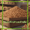 نگهداری گردو