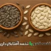 تخمه آفتابگردان یا تخمه کدو